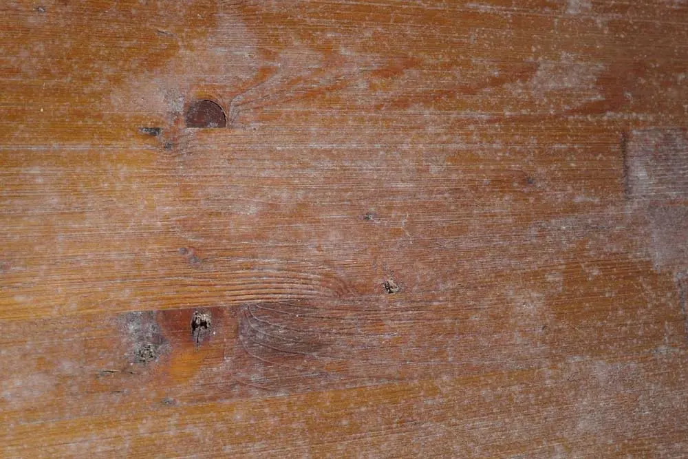Remover di muffa su legno LIGNUM BIOSEL