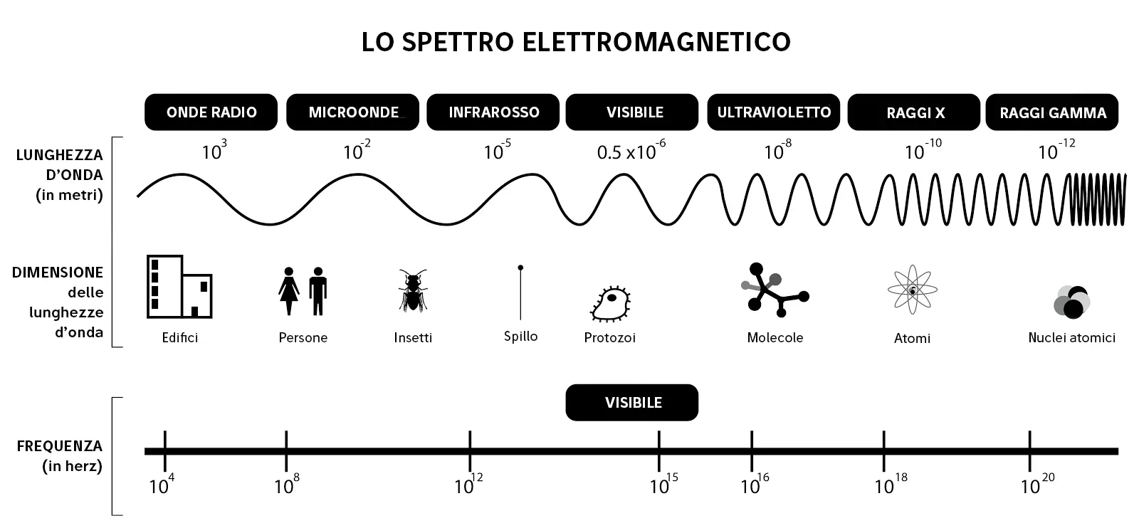 Spettro elettromagnetico.png