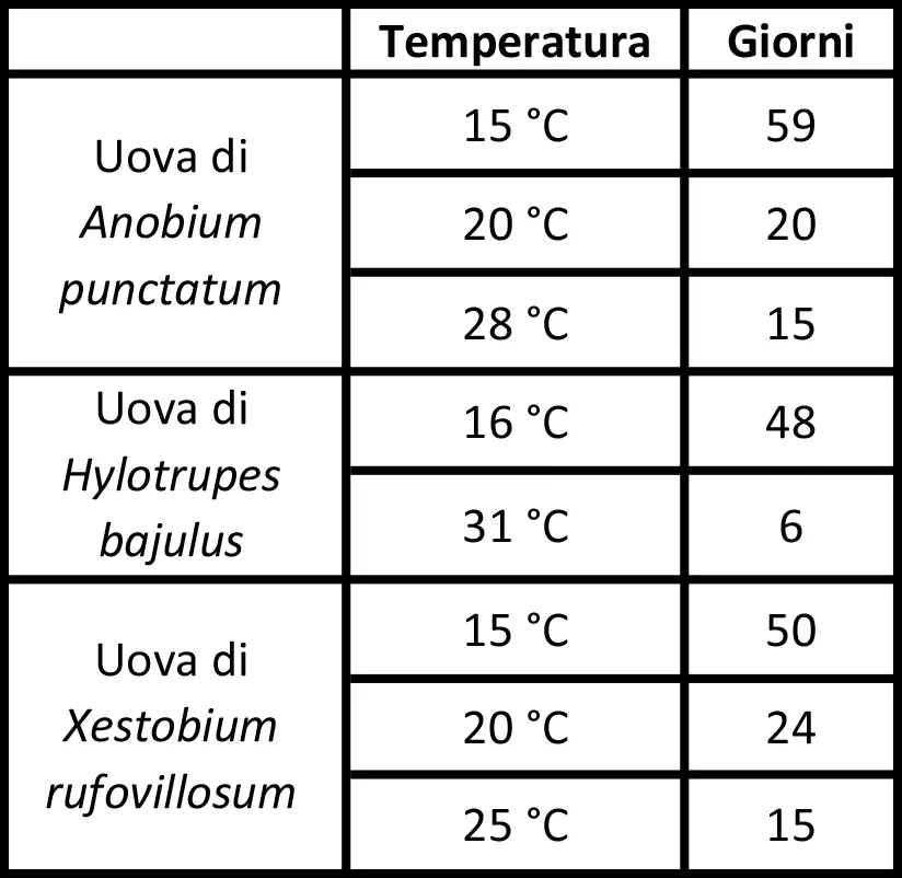 Tempi di schiusa delel uova di tarli